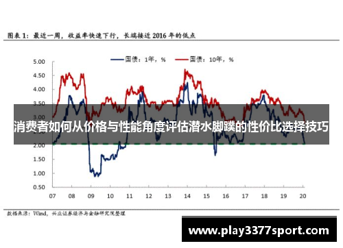 消费者如何从价格与性能角度评估潜水脚蹼的性价比选择技巧