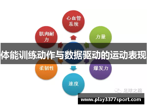 体能训练动作与数据驱动的运动表现