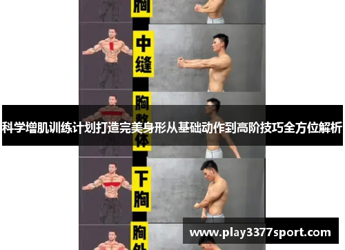 科学增肌训练计划打造完美身形从基础动作到高阶技巧全方位解析
